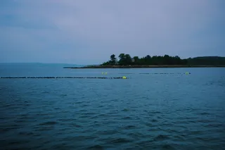 Oyster farm on Casco Bay